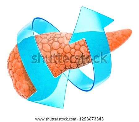 Human pancreas with arrows. Treatment and recovery concept. 3D rendering isolated on white background