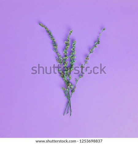 Field flowers in vibrant bold gradient holographic neon colors on ultra violet layout. Pastel colors, trendy concept art. Minimal surrealism background.