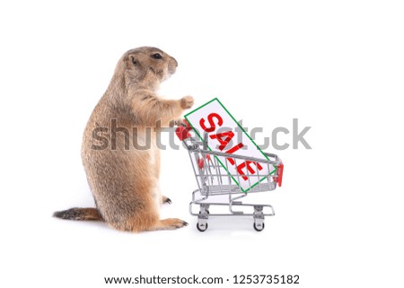 Cute prairie dog holding small shopping cart with discount sale banner on white background.