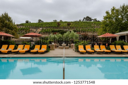 Vineyard pool view
