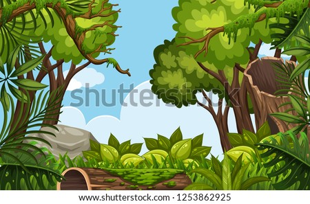 A nature scene background illustration