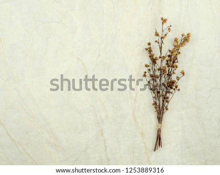 Top view bouquet of dried and wilted brown Gypsophila flowers on matt marble background with copy space
