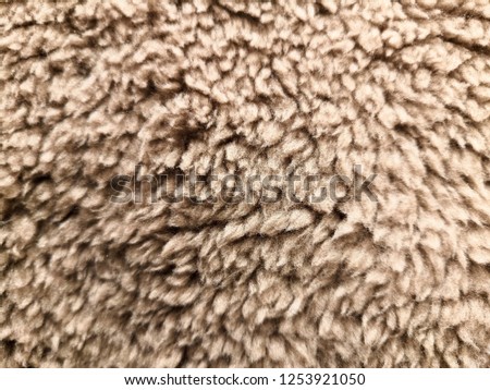 Sheep Wool pattern background.Closeup.