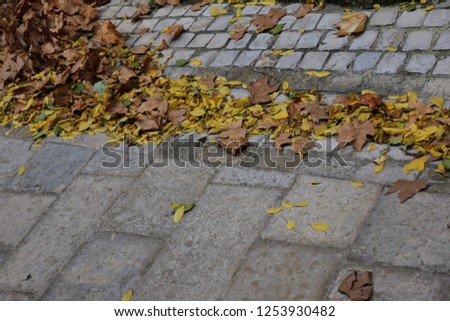 View from above of group of small yellow leaves fall on a pavement made with coblestones of different shapes. Abstract picture of dry dead foliage on a gray geometric surface during autumn season. 
