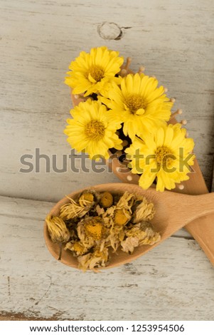 Chrysanthemum,flowers have property medicine.(fresh and dry)