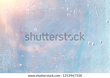 autumn wet glass background / autumn branches outside the window, rain, wet weather, concept seasonal background