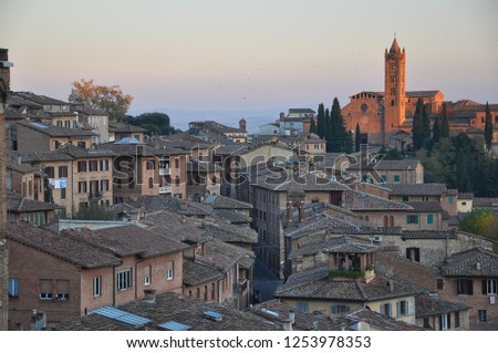 Scenic view of Siena from viewpoint