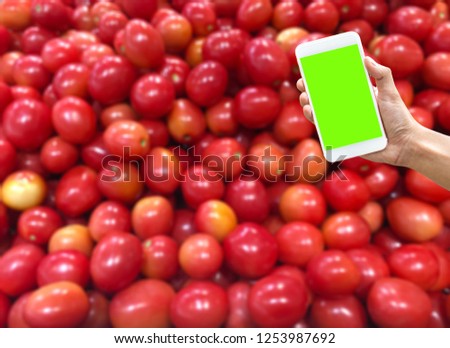 Handing a green screen smartphone in front of blurred background of fruit - can use for using an mobile apps concept
