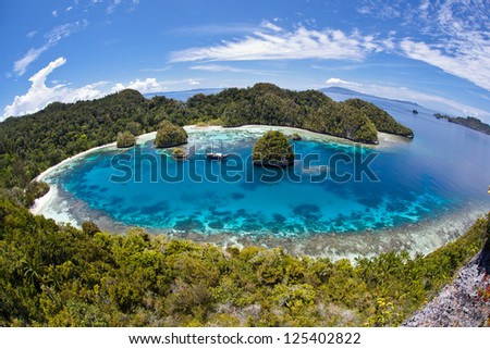 A remote lagoon, surrounded by limestone islands, protects a vibrant and diverse coral reef in Raja Ampat, Indonesia.  This is one of the most diverse areas on Earth for marine life. Royalty-Free Stock Photo #125402822