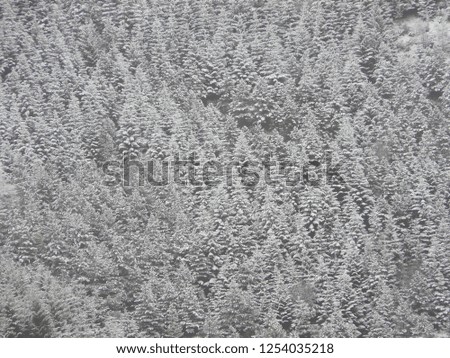 Snow on the peak of Pratomagno