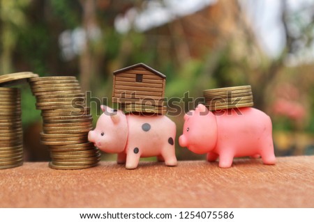 Miniature pigs carry coins with house and rolls of gold money on wood table in blur natural tree bright sunlight