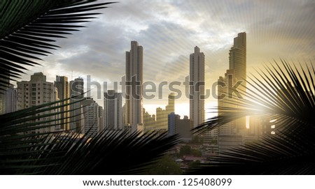 panoramic view of the skyscrapers of panama city, in central america,  with additional, slight sun lines, to adapt the similar form of the silhouettes of the palm leaves Royalty-Free Stock Photo #125408099