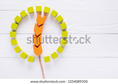 Abstract wooden spikelet in a circle on white background. Agriculture concept. One spike, plant gluten. Top view, flat lay.
