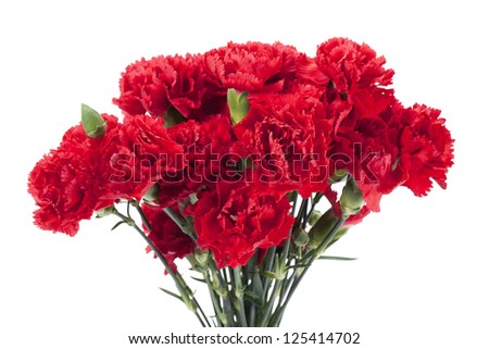 Red peonies in a vertical image
