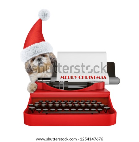 Cute santa shitzu dog is typing on a typewriter keyboard. Isolated on white background