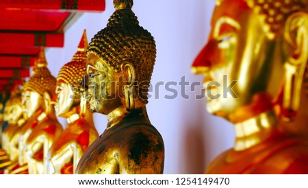golden statues of Buddha, placed in a row