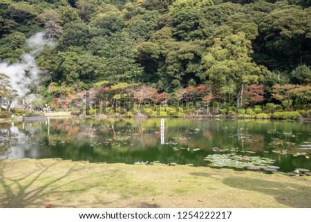Tropical water lily in UMI JIGOKU (Sea Hell) pond in autumn, which is one of the famous natural hot springs viewpoint, the japanese is picture means "Water Lily" and "Danger, please keep out."