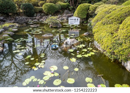 Tropical water lily in UMI JIGOKU (Sea Hell) pond in autumn, which is one of the famous natural hot springs viewpoint, the japanese is picture means "Water Lily" and "Danger, please keep out."