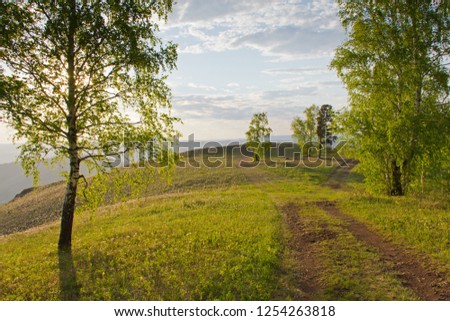 Siberian mountains with forest in summer