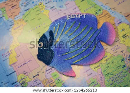 Magnet from Egypt on the map