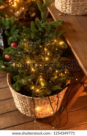Little Christmas tree with lights in a wicker basket on a wooden floor