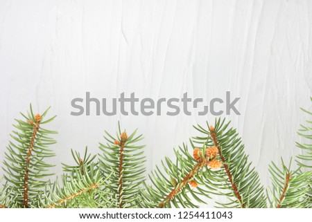 Christmas tree branches on white background. Christmas card blank. Christmas tree needles on natural background. Holiday card. Green branches and copy space