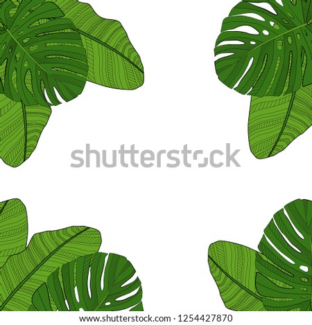 Palm Leaf Vector Background Illustration EPS10