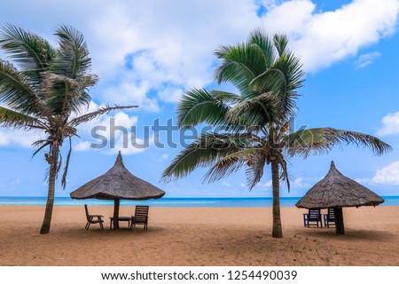 Palm Trees on the Sandy Beach of the Grand-Popo, Western Benin Royalty-Free Stock Photo #1254490039