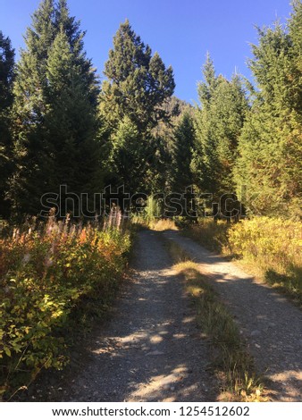 autumn hike in montana