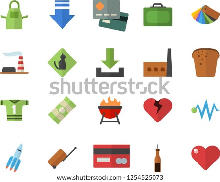 Color flat icon set color scheme flat vector, apron, barbecue, spaghetti, sauce, bread, factory, manufactory, credit card, rocket, electric discharge fector, sport T shirt, luggage, suitcase, heart
