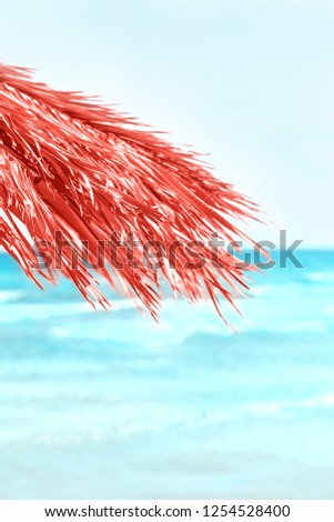 Living coral color concept of the year palm