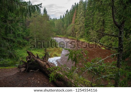 fast river in forest. Amata in Latvia with high water and rapid stream ready for kayaking in green summer. long exposure