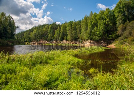 beautiful sandstone cliffs on the shores of river Amata in Latvia, fast forest river with dark water and green foliage