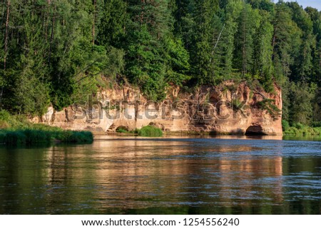 beautiful sandstone cliffs on the shores of river Amata in Latvia, fast forest river with dark water and green foliage