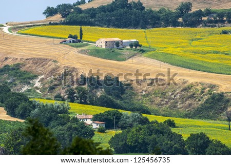 Marches (Italy) - Panoramic view near Arcevia at summer