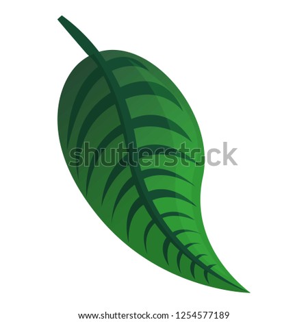 Green tropical leaf icon. Cartoon of green tropical leaf vector icon for web design isolated on white background