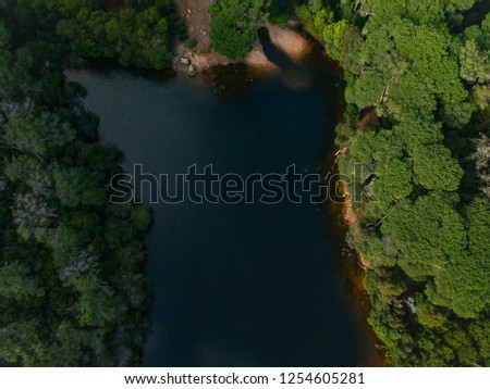 Aerial top view from a lake surrounded by trees