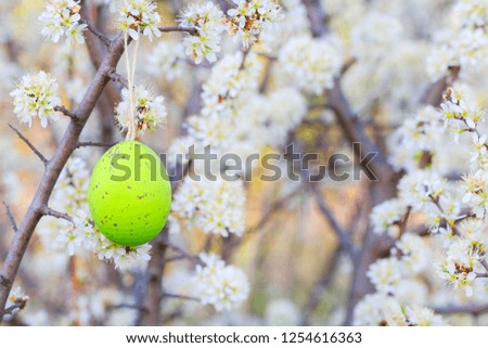 Easter eggs hanging on blooming cherry tree in the garden. 