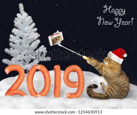 The cat in a Santa Claus hat makes selfie near the number 2019 made from sausage on the snow in the winter forest. Happy New Year.