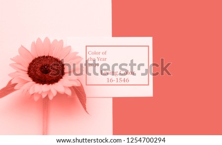 Color of the year 2019 Living Coral. Top view flat lay picture with notepad as mockup for your design and FLOWER. Copyspace for your text.