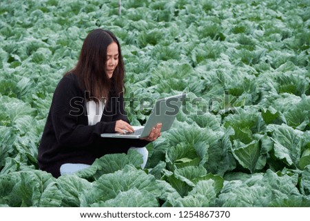Smart female asia farmer research or reading information on laptop, in cabbage field, agriculture with technology concept.