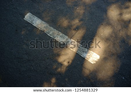 line on the asphalt