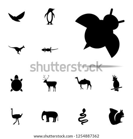 silhouette of ladybug icon. zoo icons universal set for web and mobile