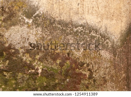 Concrete vintage wall background,old wall ,old cracked wall texture
