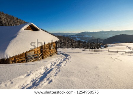 Human footprint path in white deep snow leading to small old wooden forsaken shepherd hut in mountain valley, spruce forest, woody dark hills, bright sun on clear blue sky copy space background.