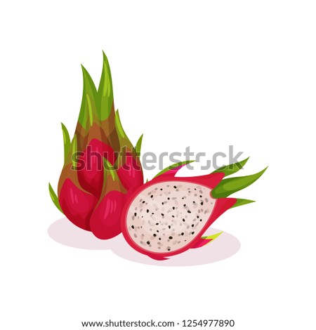 Detailed flat vector design of whole and half of tasty pitaya. Exotic fruit. Organic food. Healthy product