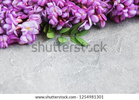 Pink acacia flowers on a stone background