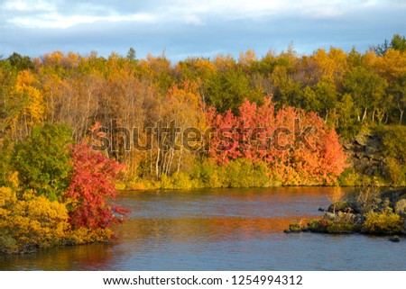 View of the autumn forest and the surface of the lake. Beautiful autumn landscape with water and bright vegetation. Iceland. Europe