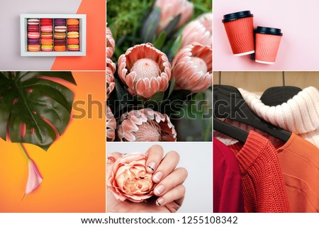 Creative collage inspired by Living Coral - Color of the Year 2019.