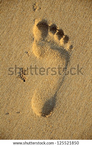 Foot Print on the Beach.